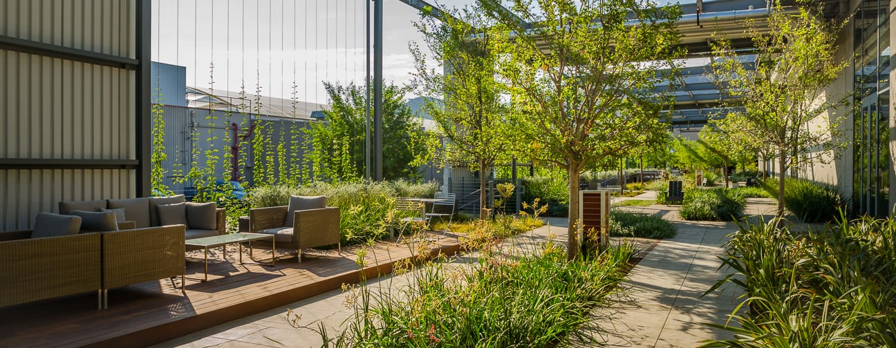 Outdoor lounge seating among the gardens at The Burbank Studios